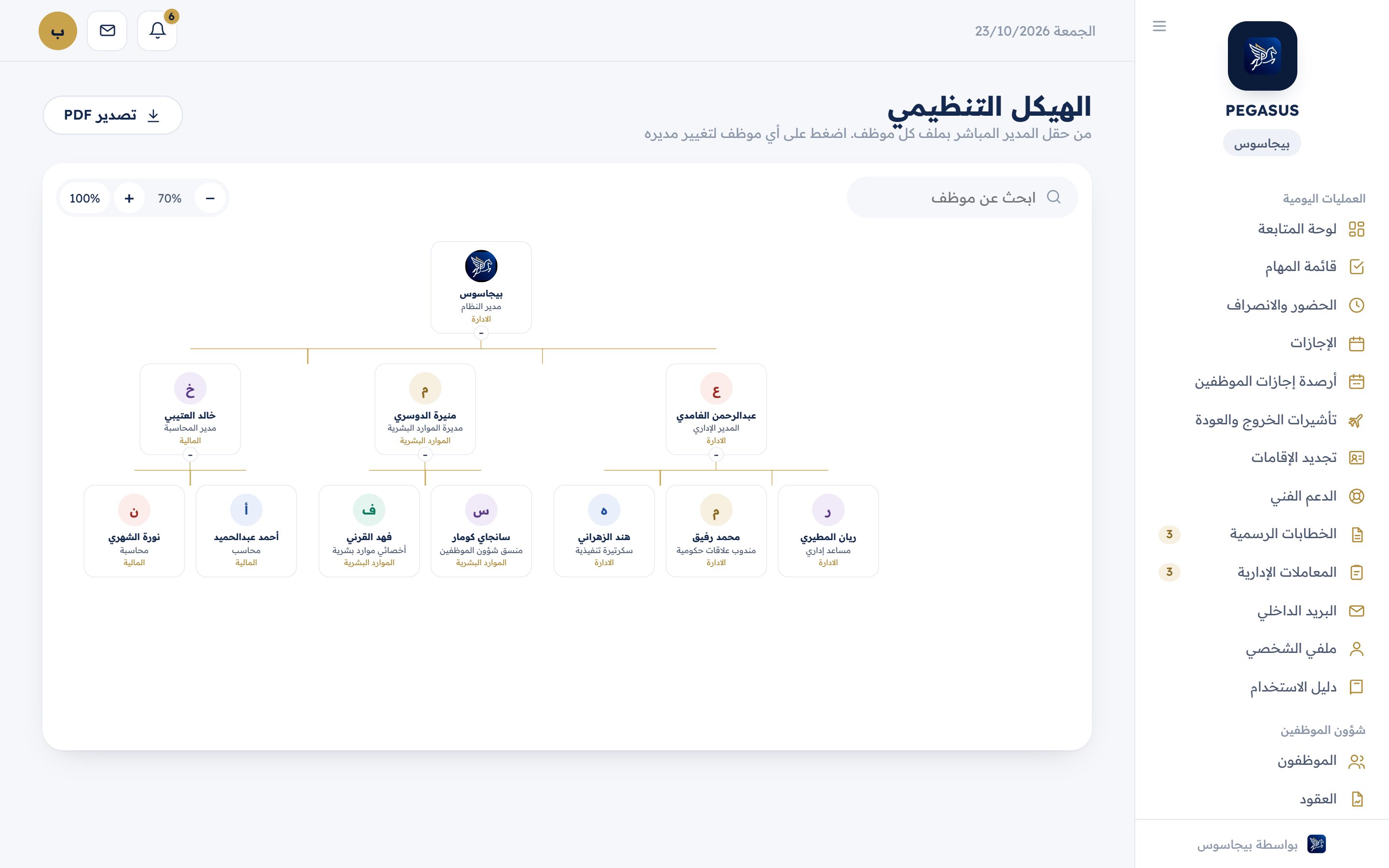 الهيكل التنظيمي في بيجاسوس